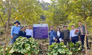 Đảm bảo chất lượng nhiệm vụ KHCN
