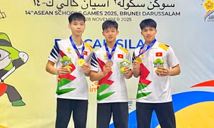 Quảng Ninh có 3 VĐV được tham dự chương trình gặp mặt, biểu dương tài năng trẻ