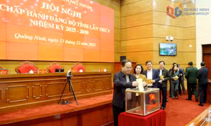 Hội nghị Ban Chấp hành Đảng bộ tỉnh lần thứ V