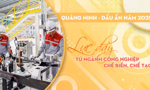 Lực đẩy từ ngành công nghiệp chế biến, chế tạo