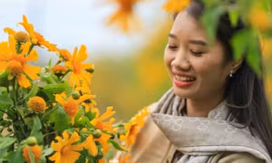 Bản tin vùng Đông Bắc ngày 17/12/2025