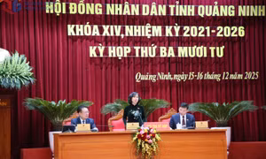 Bản tin Quảng Ninh ngày 15/12/2025