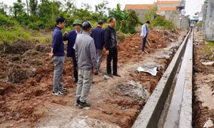 Phường Phong Cốc tăng cường quản lý trật tự đô thị, môi trường