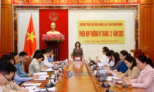 Thường trực HĐND tỉnh họp phiên thường kỳ tháng 12
