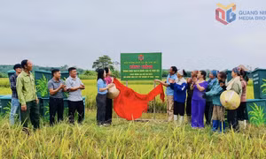 Đổi thay ở xã biên giới Quảng Đức 