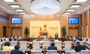 Cử tri và nhân dân lo lắng, bức xúc về tình trạng lừa đảo trực tuyến
