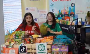 Thương mại điện tử đạt 31 tỉ USD