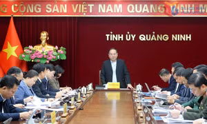 Chuẩn bị tốt nhất các điều kiện để nhân dân vui xuân, đón Tết vui tươi, an toàn, lành mạnh