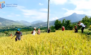 Các địa phương vùng cao phát triển du lịch