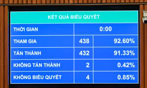 Mức bồi thường thiệt hại do xâm phạm quyền sở hữu trí tuệ có thể lên tới 1 tỷ đồng
