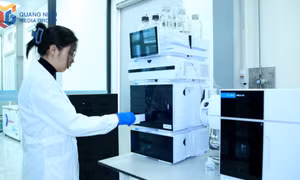 Giám định chất lượng nông sản ngay tại Cửa khẩu Bắc Luân II