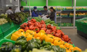Mở rộng thị trường tiêu thụ rau quả
