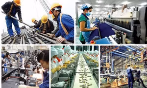 Thủ tướng đôn đốc triển khai quyết liệt, hiệu quả Chương trình phục hồi, phát triển KT-XH