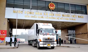 Xuất khẩu 100 tấn thanh long ngày đầu năm mới ở Cửa khẩu Kim Thành