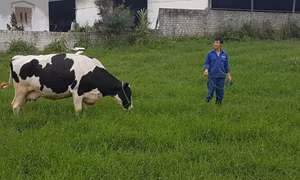 Đẩy mạnh tái cơ cấu để nông nghiệp đáp ứng yêu cầu mới