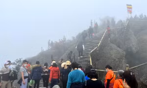 Xuân về, trảy hội Yên Tử