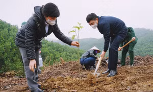 Phó Bí thư Thường trực Tỉnh ủy Ngô Hoàng Ngân phát động Tết trồng cây tại TP Hạ Long