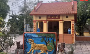 Độc đáo tục thờ hổ của người dân Nam Bộ