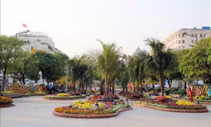 Không khí tốt trong ngày đầu năm mới Nhâm Dần