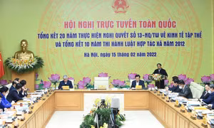 Thúc đẩy phát triển kinh tế tập thể, hợp tác xã hiệu quả, mạnh mẽ
