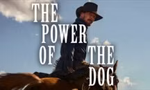 'The Power of the Dog' dẫn đầu số đề cử Oscar 2022