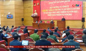 Ban Thường vụ Tỉnh uỷ làm việc với BTV Huyện uỷ Hải Hà và BTV Huyện uỷ Đầm Hà