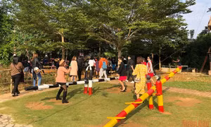 Chào Tết Nhâm Dần với “Sắc Xuân trên mọi miền Tổ quốc”