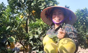Sắc xuân nông thôn mới