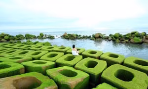 Xuân về, Phú Yên lại hiện lên một ‘thiên đường rêu xanh’ đẹp mê ly
