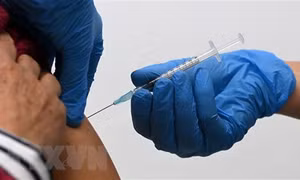 Bỉ tiêm liều vaccine ngừa COVID-19 thứ tư cho đối tượng ưu tiên