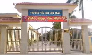 Vụ 3 học sinh bị đánh tím mông: Yêu cầu chấm dứt hợp đồng với cô giáo chủ nhiệm