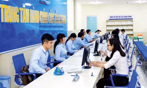 Nâng cao hiệu quả dịch vụ công trực tuyến, hỗ trợ người dân, DN trong bối cảnh dịch bệnh