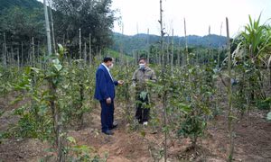 Xung lực phát triển mới của Ba Chẽ