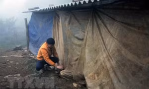 Từ 10/2: Các tỉnh Bắc Bộ chuyển rét về đêm và sáng, ngày có nắng