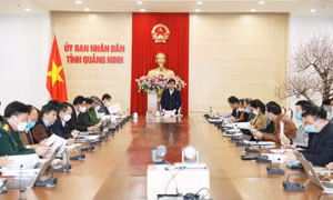 UBND tỉnh cho ý kiến vào dự thảo Kế hoạch chuyển đổi số toàn diện