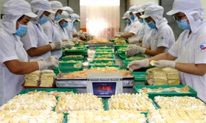 Số doanh nghiệp gia nhập và quay lại thị trường tăng 46,2%