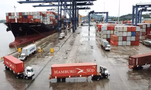 Thu hút tàu mới cập cảng từ chính sách thông thoáng