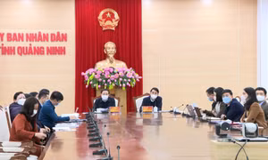Tổng kết 20 năm thực hiện Nghị quyết 13-NQ/TW về kinh tế tập thể và 10 năm thi hành Luật HTX
