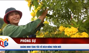 Quảng Ninh tăng tốc về đích nông thôn mới