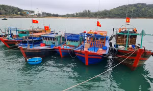Điểm tựa cho ngư dân vươn khơi, bám biển