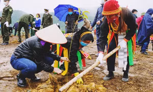 Phát triển lâm nghiệp bền vững