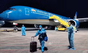 Yêu cầu khẩn trương cấp phép hãng hàng không đưa công dân Việt Nam về nước
