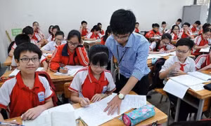 Điều kiện về chứng chỉ nghiệp vụ trong tuyển dụng đặc cách