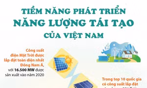 Tiềm năng phát triển năng lượng tái tạo của Việt Nam