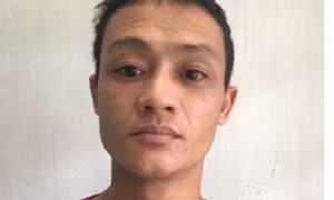 Đóng giả nông dân trồng hoa để bán ma túy