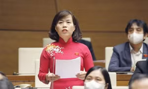 Phát triển nhân lực và năng suất lao động để thúc đẩy tăng trưởng