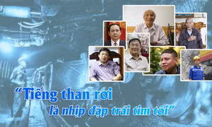 Tiếng than rơi là nhịp đập trái tim tôi