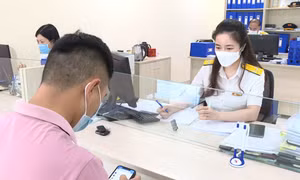 Chống thất thu, gian lận thuế