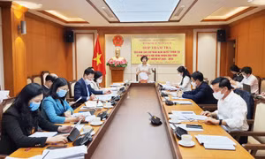 Ban Kinh tế - Ngân sách HĐND tỉnh thẩm tra các tờ trình