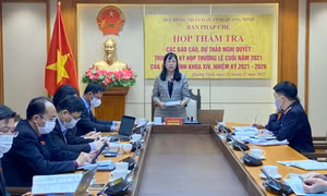 Ban Pháp chế HĐND tỉnh thẩm tra các báo cáo trình tại Kỳ họp thứ 5